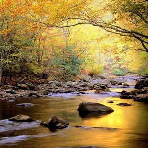 老师脱👙露出🐻吃我的🍌
